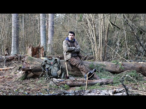 Видео: Стратегические приоритеты выживания