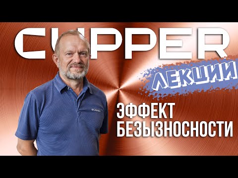 Видео: «Эффект безызносности» С.М.Мамыкин - физико-химические основы.