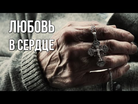 Видео: Любовь в сердце.  «Вечерний Ейск» от 2024.09.06