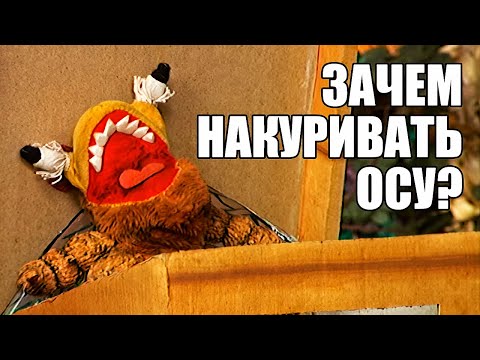Видео: ВСЕ СЕРИИ С ПЧЕЛОЙ. Деревня Дураков