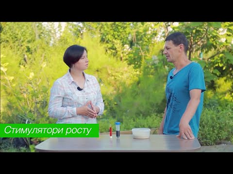 Видео: Природные и синтетические регуляторы роста и укоренения растений.