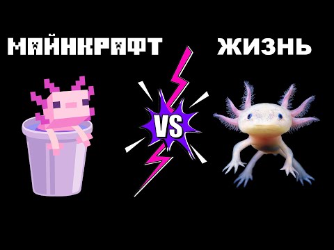 Видео: Аксолотль в игре Майнкрафт и в реальной жизни. Правда и вымысел.
