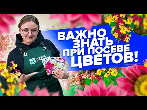 Видео: ПОСЕЙТЕ ИХ СЕЙЧАС! Гацания, виола, львиный зев. Как выбрать емкость для посева