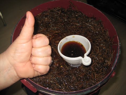 Видео: НАСТОЙ СЕНА  ВМЕСТО ФИТОСПОРИНА