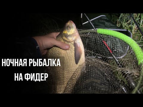 Видео: НОЧНОЙ ЛЕЩ ВЗЯТ! Рыбалка на фидер осенью