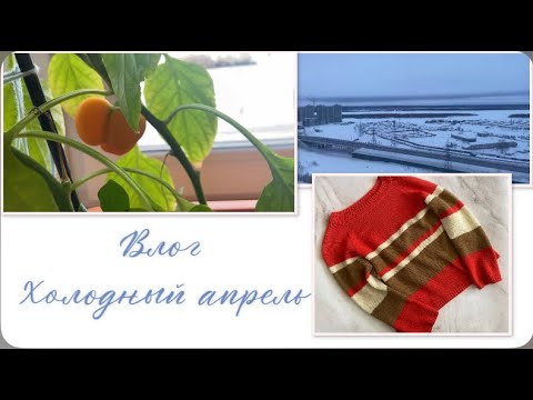 Видео: Готовые работы! Пеку хлеб и жду весны)