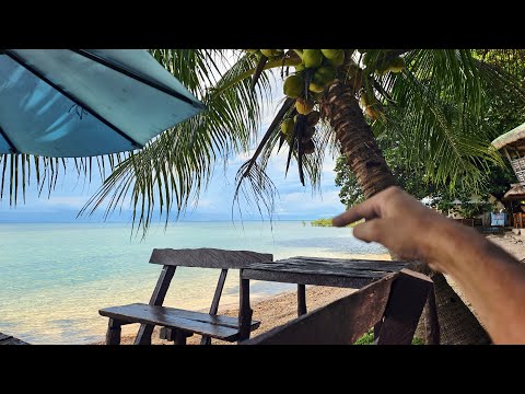 Видео: Моё красивое и тихое место у океана (4к Ultra HD)