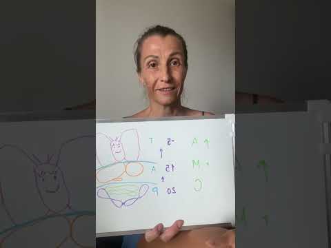 Видео: Прана, Апана - секрет счастья