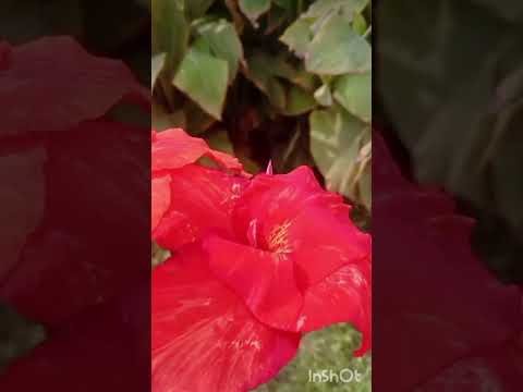 Видео: Последние отголоски лета