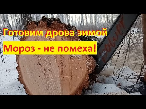 Видео: В лес на делянку. Фитнес на свежем воздухе. Заготавливаем дрова.