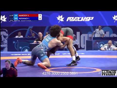 Видео: Шамиль Мамедов - Исмаил Мусукаев ЧМ 2023
