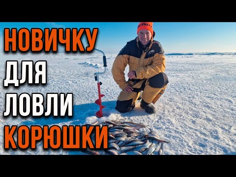 Видео: Новичку для ловли корюшки.