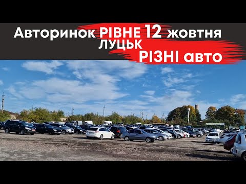 Видео: Різні авто від $6000 на авторинках м. Рівне та Луцьк #авторинокрівне  #авториноклуцьк