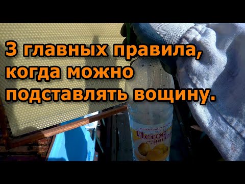 Видео: 3 главных правила, когда можно подставлять вощину.