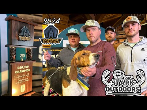 Видео: Охота на енотов за 250 000 долларов на турнире чемпионов UKC 2024 года