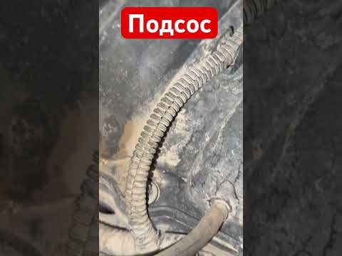 Видео: #подсос#ренологан