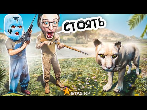 Видео: ПОЙМАЛИ ПУМУ БЕЗ ДОНАТА И СТАЛИ БОГАТЫ! 300.000$ ЗА ЧАС! ЭТО РЕКОРД! (GTA 5 RP/ROCKFORD)