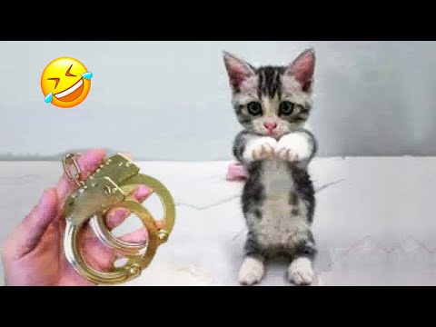 Видео: Не смейся! 😂 Смешные видео с животными 2025 😅 Часть 21
