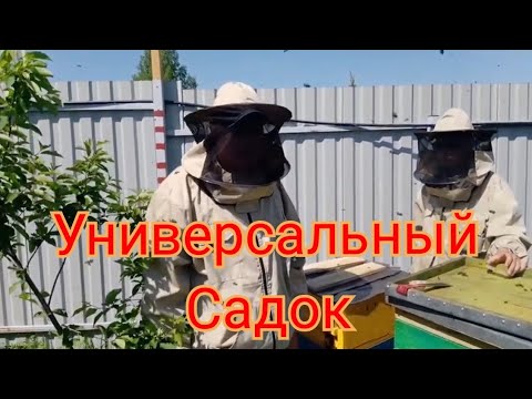 Видео: УНИКАЛЬНЫЙ САДОК ДЛЯ СОЗДАНИЯ ОТВОДКОВ И ПРИНЯТИЯ МОЛОДЫХ МАТОК.