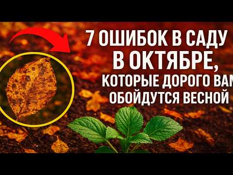 Видео: 7 Ошибок в Саду в Октябре, Которые Дорого Вам Обойдутся Весной ⚠️
