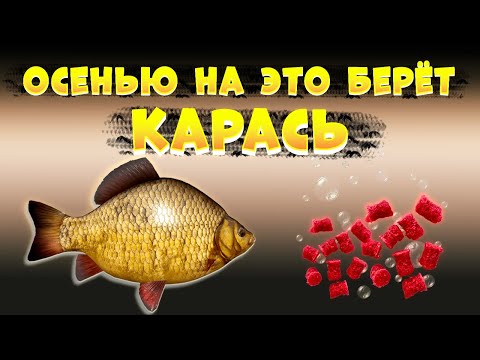 Видео: Насадка для рыбалки на КАРАСЯ, КАРПА, ЛЕЩА. Фидер, поплавок, донка.