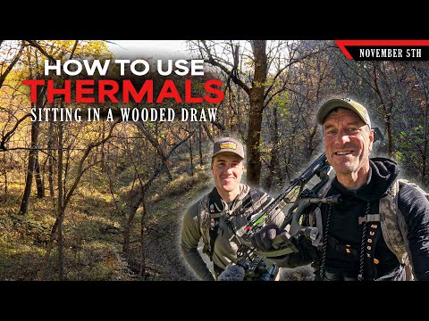 Видео: Сидя в лесной ложбине — как использовать термобельё в сложных условиях | Охота с луком на белохво...