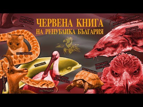 Видео: ТОП 10 ЗАСТРАШЕНИ животни в БЪЛГАРИЯ