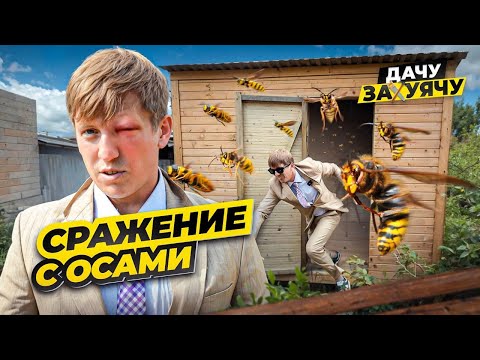 Видео: ОСЫ ублюдки шпигуют меня ядом, у меня нунчаки, а у тёщи септик🙃