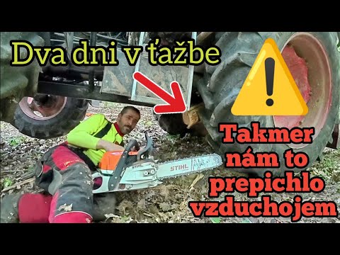 Видео: ВЕТКА КАК СНАРЯД - Мы чуть не потеряли воздушный баллон! 2 дня заготовки дуба, Amles, Stihl 400.1