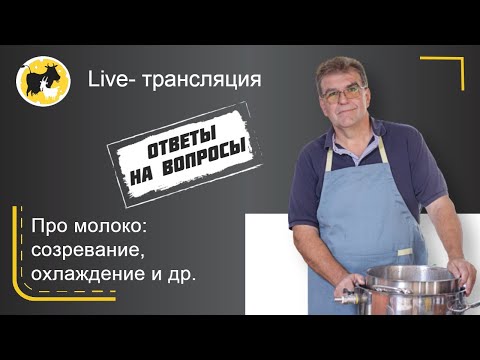Видео: Как подготовить молоко для сыра в домашних условиях? Отвечает эксперт школы сыроделия «КоКо».