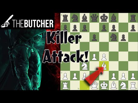 Видео: Universal Killer Attack против Modern & Pirc!!