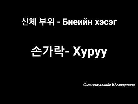Видео: Биеийн хэсэг - 신체 부위 명칭