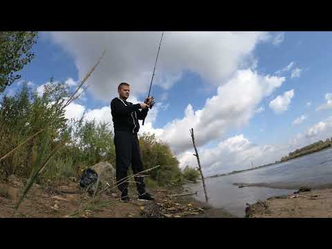 Видео: Поймал плотву