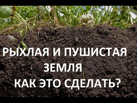 Видео: Рыхлая земля в природном земледелии.