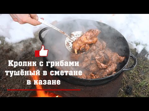 Видео: Кролик с грибами тушёный в сметане в казане