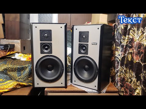 Видео: Magnat Zero 5 , Sansui sp-v100 по немецки) Лютые пацанские рок колонки . Текст.