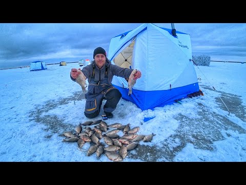 Видео: КАРАСЬ ПРЁТ, ЛЕСКА ЗВЕНИТ!!! Рыбалка на озере УЕЛГИ. Первый лёд 2024-2025