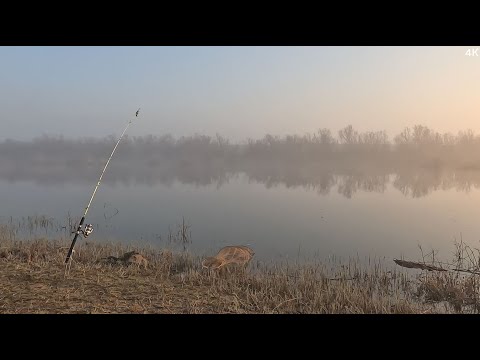 Видео: Ва нихоят...