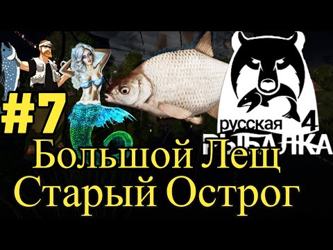 Видео: 🐟Стоянка Леща 🎣 На Фидер🎣 Острог🐟