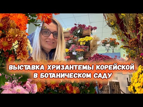 Видео: 100 сортов хризантемы корейской на выставке в Ботаническом саду