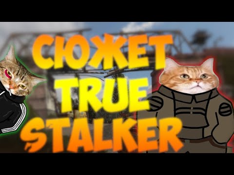 Видео: Сюжет True Stalker