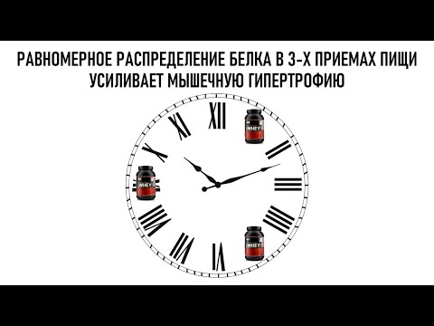 Видео: лекция: РАВНОМЕРНОЕ РАСПРЕДЕЛЕНИЕ БЕЛКА В 3-Х ПРИЕМАХ ПИЩИ УСИЛИВАЕТ МЫШЕЧНУЮ ГИПЕРТРОФИЮ