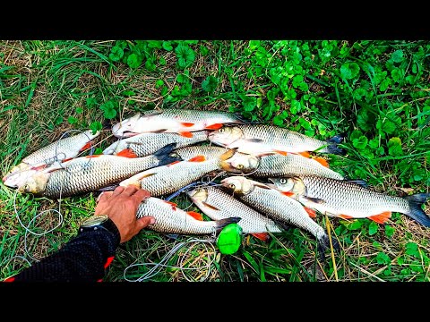 Видео: Сколько можно ЗАРАБОТАТЬ на ЛОВЛЕ РЫБЫ! Рыбалка как бизнес!