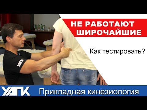 Видео: Подробно о широчайшей мышце. Как тестировать дисфункции?
