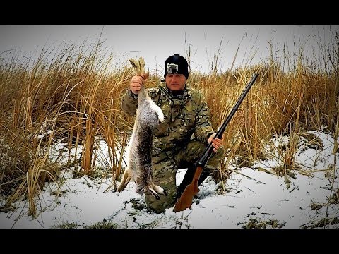 Видео: Охота на зайца. Тропление зайца  по первому снегу. Необычная находка. Сезон 2017 - 2018. Иж-43