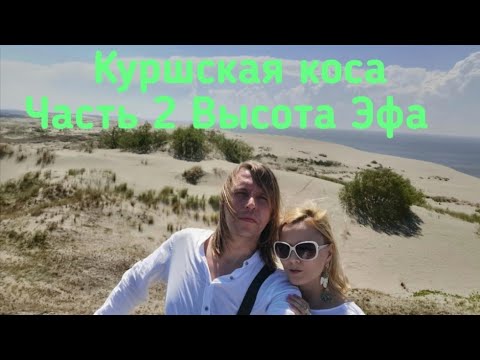 Видео: Куршская коса//Часть 2//Высота Эфа и станция орнитологов