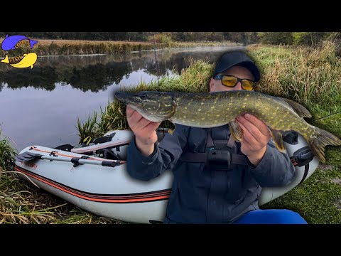 Видео: РИБОЛОВЛЯ В МОРОЗ: НА ЩО КЛЮЄ ЩУКА ПРИ -2°C?