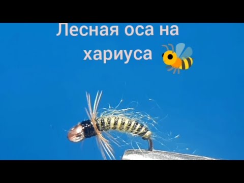 Видео: Мушка ЛЕСНАЯ ОСА НА ХАРИУСА из силиконовой и шерстяной нити