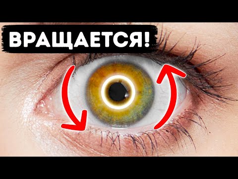 Видео: 24 удивительные возможности человеческого тела, о которых вы не догадывались