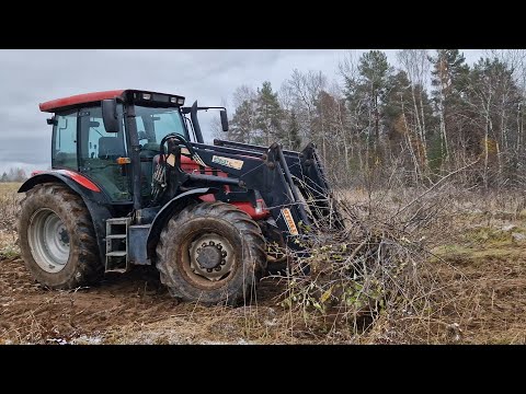 Видео: Чистим поля от кустов и деревьев / ВСЕ ПОЛЯ ВСПАХАНЫ ! / за Русь !